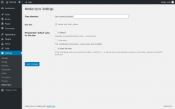 Page screenshot: Settings &rarr; Media Sync