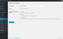 Page screenshot: Settings &rarr; Media Sync