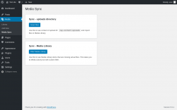 Page screenshot: Media &rarr; Media Sync