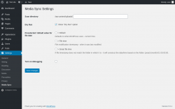 Page screenshot: Settings &rarr; Media Sync