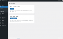 Page screenshot: Media &rarr; Media Sync