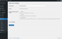 Page screenshot: Settings &rarr; Media Sync