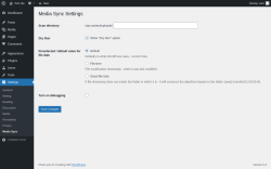 Page screenshot: Settings &rarr; Media Sync
