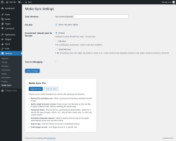 Page screenshot: Settings &rarr; Media Sync