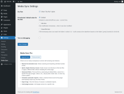 Page screenshot: Settings &rarr; Media Sync