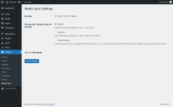Page screenshot: Settings &rarr; Media Sync