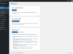 Page screenshot: Media &rarr; Media Sync