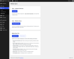 Page screenshot: Media &rarr; Media Sync
