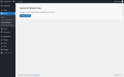 Page screenshot: Media → Delete All Media