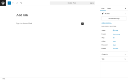 Page screenshot: Add Post ‹ Test site — WordPress
