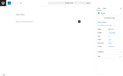 Page screenshot: Add Post &lsaquo; Test site &mdash; WordPress
