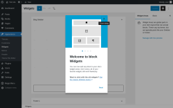 Page screenshot: Widgets &lsaquo; Test site &mdash; WordPress