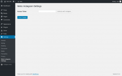 Page screenshot: Settings → Meks Instagram Settings