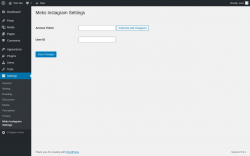 Page screenshot: Settings → Meks Instagram Settings
