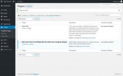 Page screenshot: Plugins ‹ Test site — WordPress