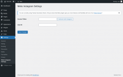 Page screenshot: Settings → Meks Instagram Settings