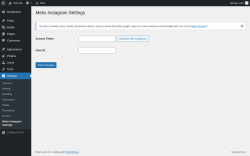 Page screenshot: Settings → Meks Instagram Settings