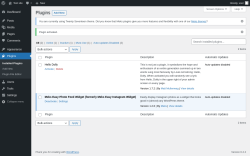 Page screenshot: Plugins ‹ Test site — WordPress