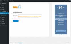 Page screenshot: Melu Live Chat