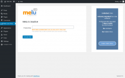 Page screenshot: Melu Live Chat