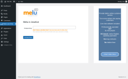 Page screenshot: Melu Live Chat