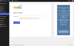 Page screenshot: Melu Live Chat