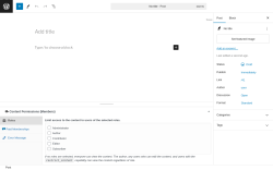 Page screenshot: Add New Post &lsaquo; Test site &mdash; WordPress