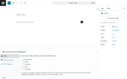 Page screenshot: Add New Page &lsaquo; Test site &mdash; WordPress