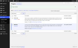 Page screenshot: Plugins &lsaquo; Test site &mdash; WordPress