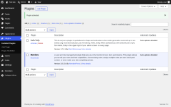 Page screenshot: Plugins &lsaquo; Test site &mdash; WordPress
