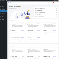 Page screenshot: Merchant