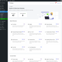 Page screenshot: Merchant → Modules