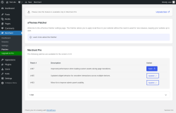 Page screenshot: Merchant → Patcher