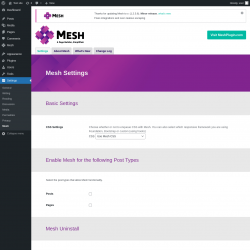 Page screenshot: Mesh → Settings