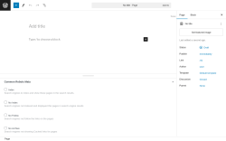 Page screenshot: Add New Page &lsaquo; Test site &mdash; WordPress