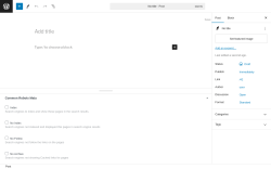 Page screenshot: Add New Post &lsaquo; Test site &mdash; WordPress