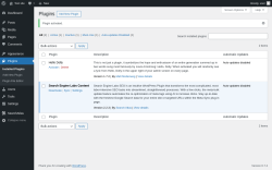 Page screenshot: Plugins &lsaquo; Test site &mdash; WordPress