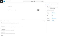 Page screenshot: Add Page ‹ Test site — WordPress