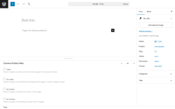 Page screenshot: Add Post ‹ Test site — WordPress