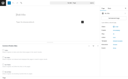 Page screenshot: Add Page ‹ Test site — WordPress