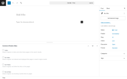 Page screenshot: Add Post ‹ Test site — WordPress