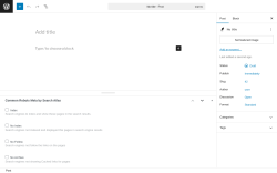 Page screenshot: Add Post ‹ Test site — WordPress