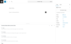 Page screenshot: Add Page ‹ Test site — WordPress