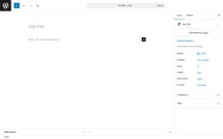 Page screenshot: Add Post &lsaquo; Test site &mdash; WordPress