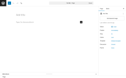 Page screenshot: Add Page &lsaquo; Test site &mdash; WordPress