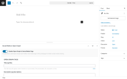 Page screenshot: Add Post ‹ Test site — WordPress