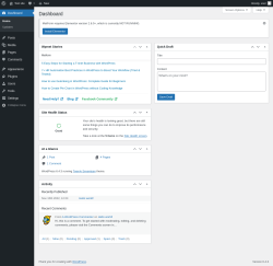 Page screenshot: Dashboard &lsaquo; Test site &mdash; WordPress