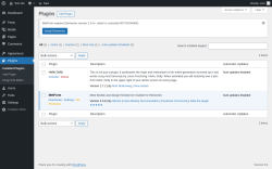Page screenshot: Plugins &lsaquo; Test site &mdash; WordPress
