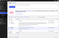 Page screenshot: Plugins &lsaquo; Test site &mdash; WordPress