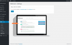 Page screenshot: Settings &rarr; Metricool